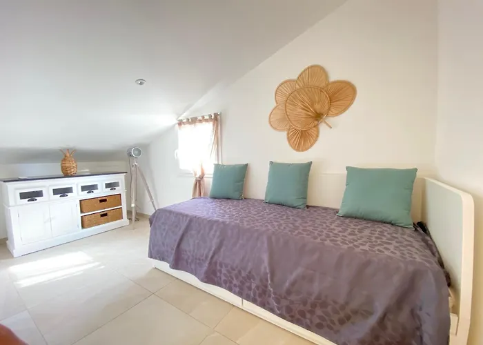 公寓 Duplex Avec Terrasses 滨海萨纳里