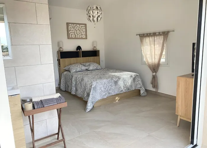 公寓 Duplex Avec Terrasses 滨海萨纳里